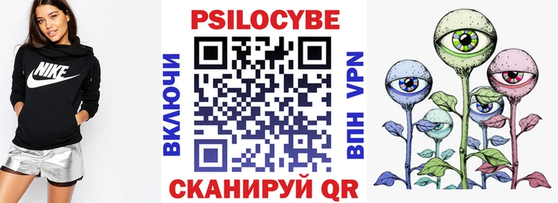 Галлюциногенные грибы Psilocybine cubensis  kraken зеркало  Кочубеевское  дарнет шоп 